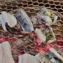싱싱장어 - 부천시 원미구 조마루로386번길 52 | 부산 사직동 맛집 김기나 원조바다장어, 싱싱함이 살아있는 숯불 장어구이 솔직후기