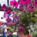 행운동주민센터 이미지