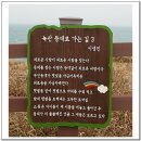 녹산등대가는길 이미지