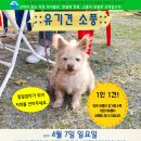 (마감) 4월7일(일요일) /참가자명단 (소풍전날6일 &#39;참가자공지&#39; 예정) 이미지