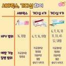 구미 우성비뇨기과 가다실9가 접종 후기 1.2차 맞은후기,부작용,통증,컨디션,내돈내산