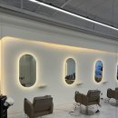 메이에르진 이미지