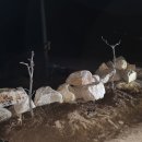 산조농장 Daum카페