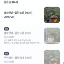카페녹무