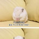 달이 머무는 집 이미지