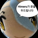 꽃피자 이미지