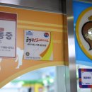 올바른 성장 태권도 이미지