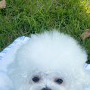 마롱스테이 이미지