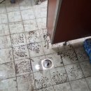 불철주야 | 대구하수구막힘 실력 좋은 불철주야하수구배관홈케어 방문 후기