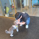 도그마루 강아지고양이 안양점 이미지