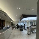 써니헤어(Sunny hair) | 아라역 도보2분 미용실 애쉬계열 염색+클리닉 맛집 | 에이모드헤어 검딘도시점