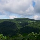 낙동농장 이미지