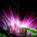 3040 당구장 이미지