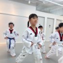 단국대 바른 태권도장 이미지