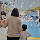 쌍용태권도장 | 태권도장 고민 끝낸 이유… 기합 소리에 울던 아이가 먼저 가겠다고 합니다 (쌍용태권도장 직접 보내보니)
