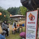 동일농원 | 파주 헤이리 농원 팜크닉! 아이와 가볼 만한 곳 할로윈 축제 후기🎃