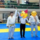 호신 주짓수&유도 이미지