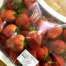 들말농장 이미지