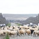 청해목장 이미지