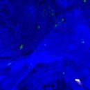 좌천동굴 이미지