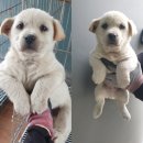 사천제일의원 이미지