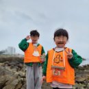 금오 인성태권도 이미지