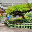 아중초등학교병설유치원 이미지