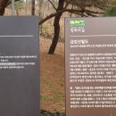 철원중학교, 철원고등학교_ 이미지