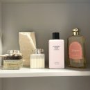 바디 인사이드 이미지