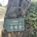 제주 동광분교인디이스트 (운동장 멍 하기 좋은 카페)