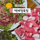 종로5가 낮술 찐맛집 [백제정육점] 차돌박이+육회 강민경 추천