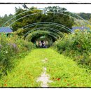 모네정원 이미지