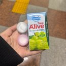 슈가엘왁싱 화정점 슈가링왁싱 솔직후기