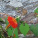 (주)비행기 이미지