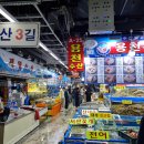 가락시장 킹크랩 가격 할인!! 폭락!! 급락!! 다녀와봤습니다.