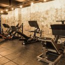 몰리짐 장기점 이미지