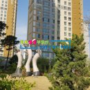 미사로얄공인중개사사무소 이미지