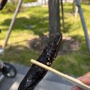 역전꼬마김밥 이미지