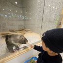 꼬마곰놀이터 | 아이와 함께, 하남 곰꼬마 실내동물원 방문 후기