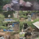 황구농장 이미지