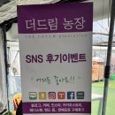 드림1농장 이미지