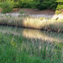 수달수영장 앞 이미지