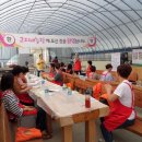 다운 농장 이미지