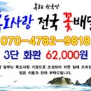 사랑의꽃배달 이미지