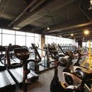 GYM승 Daum카페