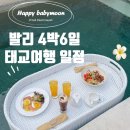 임신18주차에 떠난 발리 4박6일 태교여행 일정