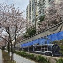 경춘선숲길(도깨비시장 앞) | 서울 걷기좋은곳 노원 경춘선숲길 꽃나들이