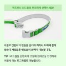 (주)체인플러스 | 강아지목줄 , 강아지하네스 , 강아지 리드줄 ,마틴게일 목줄 &lt;윌로트 WILLOT&gt;