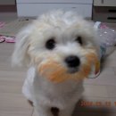 맵니떡볶이 네이버블로그