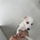 광진구네일 애견동반 가능한 네일샵 네일몬드 NAIL Mond